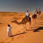 جولة مع مرشد سياحي